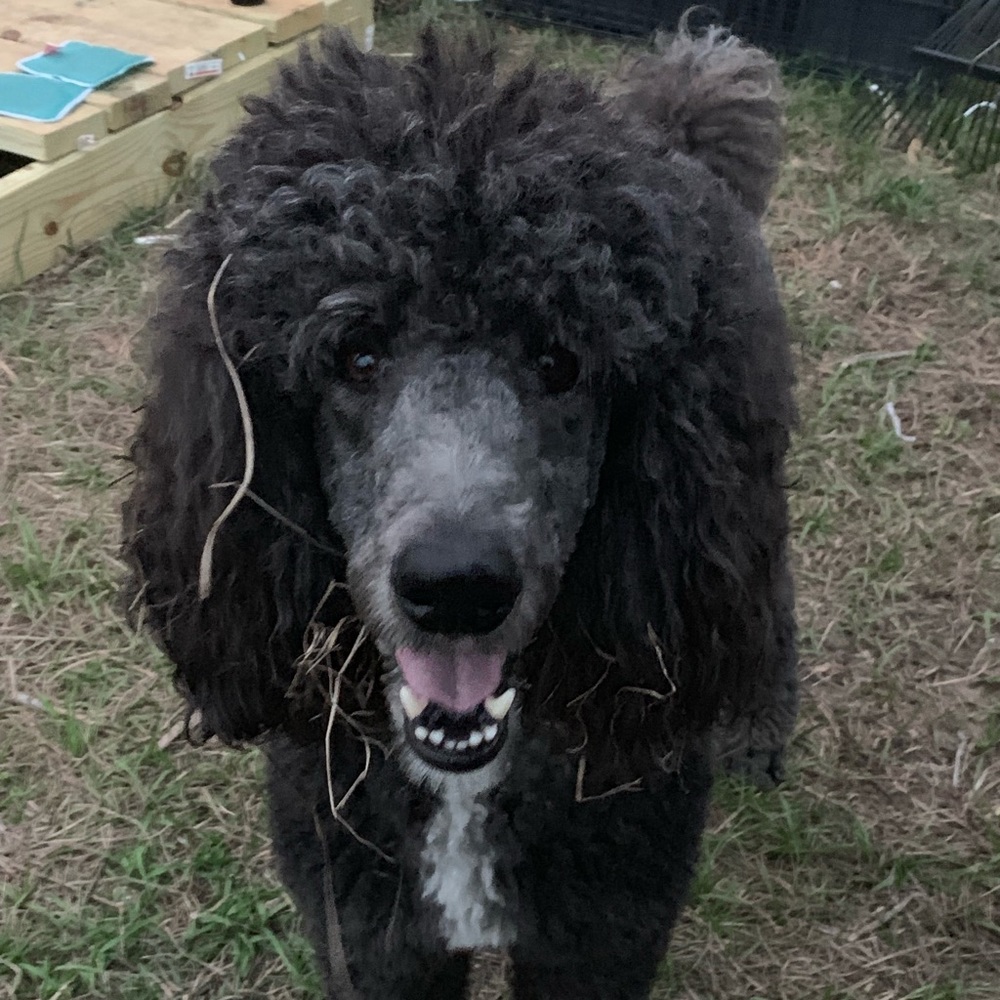 Meet your Posher, Sabrina